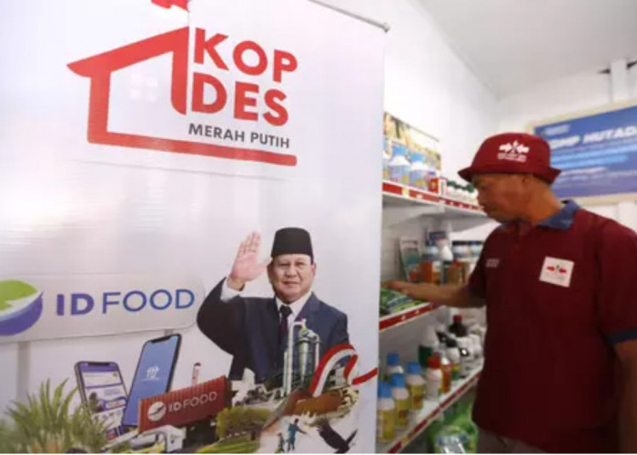 Gaji Manajer Koperasi Merah Putih Tembus Jutaan, Siap Ambil Peluangnya