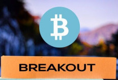 Bitcoin Tembus US$ 100.000, Haruskah Investor Waspada?