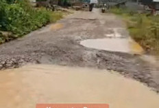 Jalan Tanjung Jaya–Danau Jaya Rusak Parah, Warga Buay Pemaca Soroti Minimnya Perhatian Pemerintah