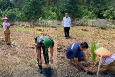 Dukung Program Penghijauan Nasional, Lapas Muaradua Tanam 75 Bibit Kelapa