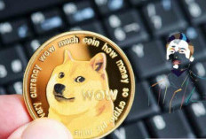 Whale Akumulasi Dogecoin (DOGE) Meski Harga Tertekan: Tanda Pemulihan? 