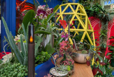 Uji Kamera di Chelsea Flower Show: Pixel Tertinggal, Galaxy S25 Ultra Tampil Mencolok