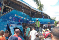 Tragis! Bus Putra Sulung Ditabrak Kereta Api, Berikut nama 26 korban kecelakaan tersebut
