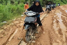 Jalan Hancur Parah di Muba, Warga Terpaksa Turun Tangan karena Perbaikan Tak Kunjung Tuntas