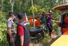 Lansia 76 Tahun Ditemukan Tewas di Kebun Karet, Sempat Hilang 3 Hari
