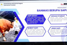 Wabup OKU Selatan Ikuti Serah Terima Bantuan Sapi Kurban Presiden Secara Daring