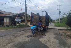 Kerap Makan Korban, Warga Gotong Royong Timbun Jalan Raya Ranau Secara Swadaya