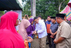 Wamen ATR/BPN Tinjau Lokasi Bencana di Sumut, Salurkan Bantuan untuk Warga