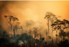 Kabut Asap Kebakaran Hutan Sumatra Capai Wilayah Malaysia