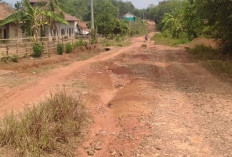 Kondisi Jalan Kabupaten di Banding Agung Masih Memprihatinkan
