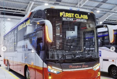 PO Harapan Jaya Perkenalkan Sleeper Bus Baru dengan Bodi Laksana dan Sasis Scania