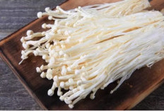 Jamur Enoki: Nikmat dan Bergizi, Tapi Waspadai Risiko Listeria!