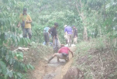 Swadaya Sejak 2000, Warga Aromantai Gotong Royong Bangun Jalan Usaha Tani