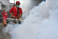 DBD Serang Sumsel Awal 2026, Palembang Jadi Wilayah Terparah