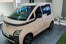 Harga Wuling Air ev Bekas 2023 Mulai Rp 110 Jutaan, Cocok untuk Budget Terbatas
