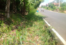 Pemerintah Kabupaten melalui Dinas terkait Laksanakan Tebas Bayang Sepanjang Jalan Kisau Tekana hingga Jagarag