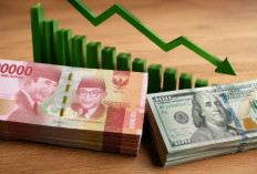Nilai Tukar Rupiah Masih Jadi Sorotan Pasar, Dipengaruhi Dinamika Ekonomi Global dan Penguatan Dolar AS