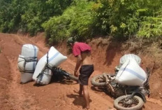 Warga Tebing Batu Desa Sinar Baru Harapkan Jalan Layak, Akses Rusak Hambat Aktivitas