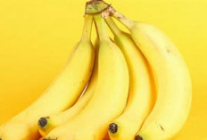 Waktu Terbaik Makan Pisang untuk Energi dan Bantu Turunkan Berat Badan