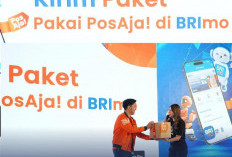 Transformasi Digital BRImo: Fitur Kirim Barang untuk UMKM Lebih Mudah