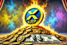 Di Balik Kenaikan Harga XRP Tiga Tahun Terakhir: Lonjakan Akumulasi Whale dan Shark