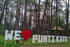 Bosen ke Mall, Warga Paling Dukung Pemkot Perbagus Wisata Alam Punti Kayu