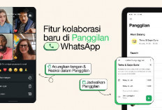 WhatsApp Hadirkan Fitur Baru: Jadwalkan Panggilan Grup hingga Ekspresi Emoji