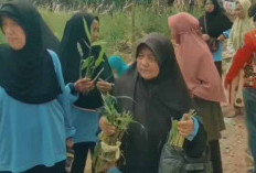 Sekolah Lansia Tanjung Raya Lakukan Cocok Tanam Obat Tradisional