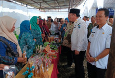 Lomba Desa Tingkat Provinsi di Desa Kemu OKU Selatan Berjalan Meriah