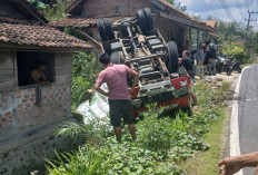 Truk Pengangkut Pupuk Terguling di Buana Pemaca, Muatan Berserakan di Jalan Desa