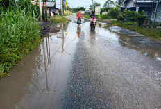 Pemda OKU Selatan Masih Tunggu Pengajuan Perubahan Status Kepemilikan Jalan Raya