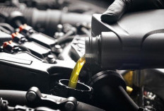 Panduan Lengkap Ganti Oli CVT: Bikin Transmisi Matik Lebih Awet dan Optimal
