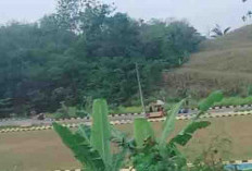 Suara Knalpot Brong Menggila, Balap Liar di OKU Selatan Bikin Warga Resah