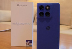 Review Motorola Edge 60 Pro: HP Sarat AI dengan Kamera Andal di Kelas Menengah Premium