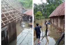 Diterjang Hujan Deras dan Angin Kencang, Rumah Warga di Ogan Ilir Roboh ke Sungai