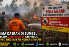 Lima Daerah di Sumsel Masuk Zona Merah Karhutla, BPBD Tingkatkan Kesiapsiagaan