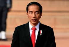 Jokowi: Israel Harus Tanggung Jawab Atas Kekejamannya!
