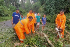 BPBD Oku Selatan tetapkan status siaga darurat banjir dan longsor