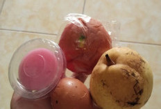 Sejak Ramadhan, Menu MBG di OKU Selatan Jadi Sorotan Tajam, Porsi Diduga Tak Seimbang dengan Anggaran