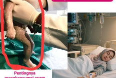Cegah Anensefali, Ibu Hamil Disarankan Konsumsi Asam Folat Sejak Sebelum Kehamilan