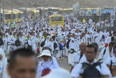 Jadwal Rombongan Jemaah Haji 2025 Pulang ke Indonesia