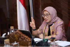 Dihapus 2025, Nasib Honorer Diselamatkan Lewat Skema Baru dari MenPAN RB