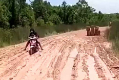 Jalan Rusak, Waktu Tempuh Jadi 4 Jam! Desa Cambai OKI Minta Perhatian Pemerintah