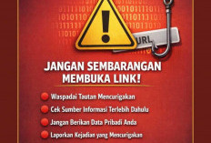 Kasus Penipuan Online Kembali Marak di Sumsel, Warga Diminta Waspada