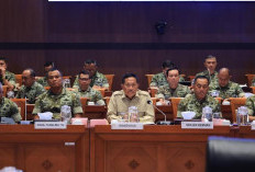 DPR RI Setujui Bantuan Perahu Patroli dari Jepang untuk Perkuat Pengawasan Maritim