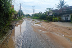 Warga Desa Sukajaya Desak Pemprov Sumsel Perbaiki Jalan Raya Ranau yang Sering Terendam Banjir