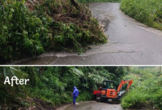 BPBD OKU Selatan Tancap Gas! 10 Titik Longsor dan Pohon Tumbang di Pulau Beringin Dibersihkan