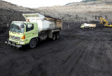 Sumsel Batasi Truk Besar, 6,3 Juta Ton Batu Bara Tidak Bisa Dijual