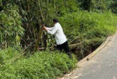 Camat Runjung Agung Imbau Pengendara Waspada, Jalan Desa Simpang Saga Alami Pergeseran Tanah