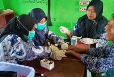Masuk ke Pelosok Desa, Puskesmas Buay Pemaca Cek Kesehatan Siswa
